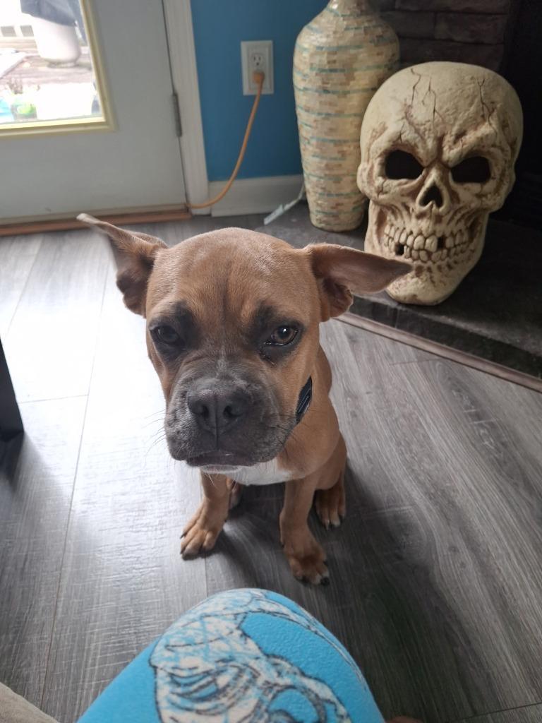 Prince Courtesy Listing