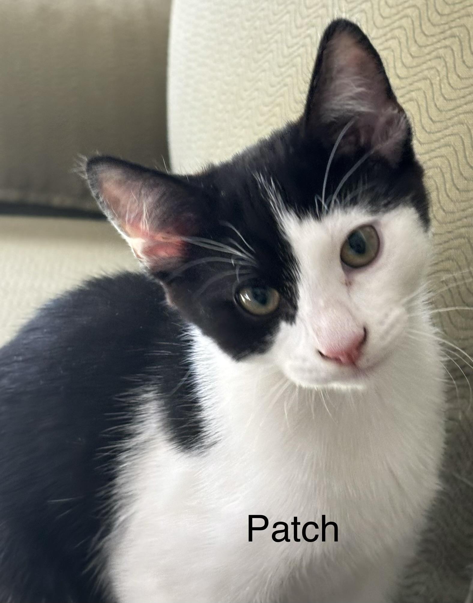 Patch