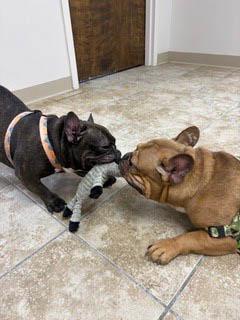 Neffy And Chip photo 1