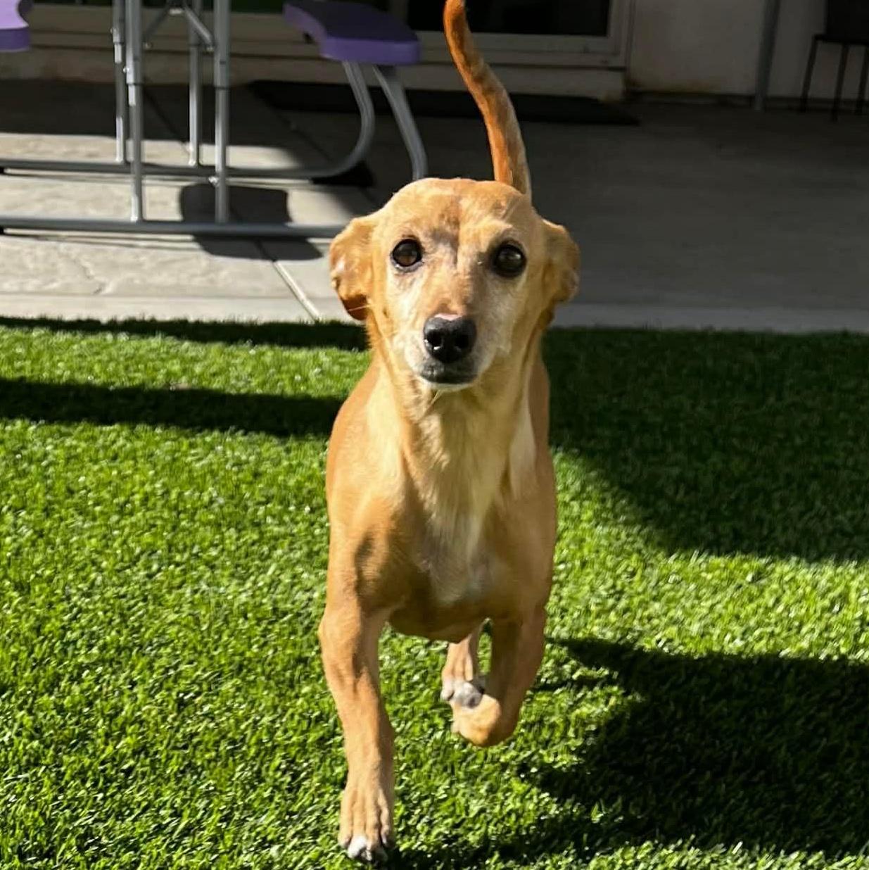 Ms. Wonderful Melania