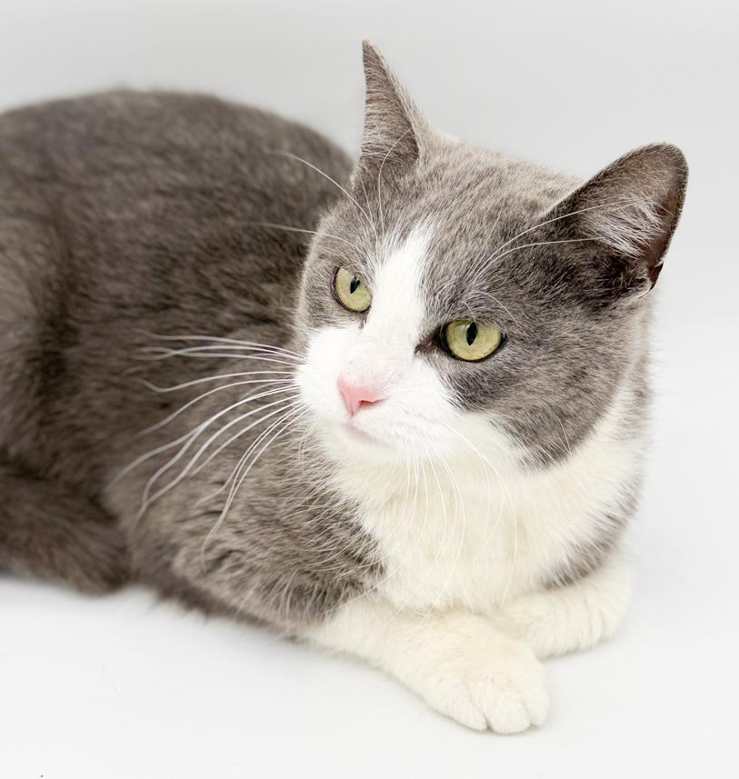 Pandora Is Well... Precious!