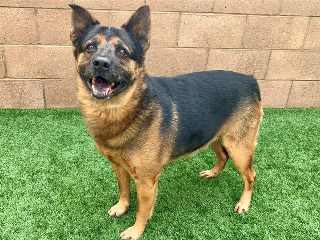 Urgent! Save Me Please!