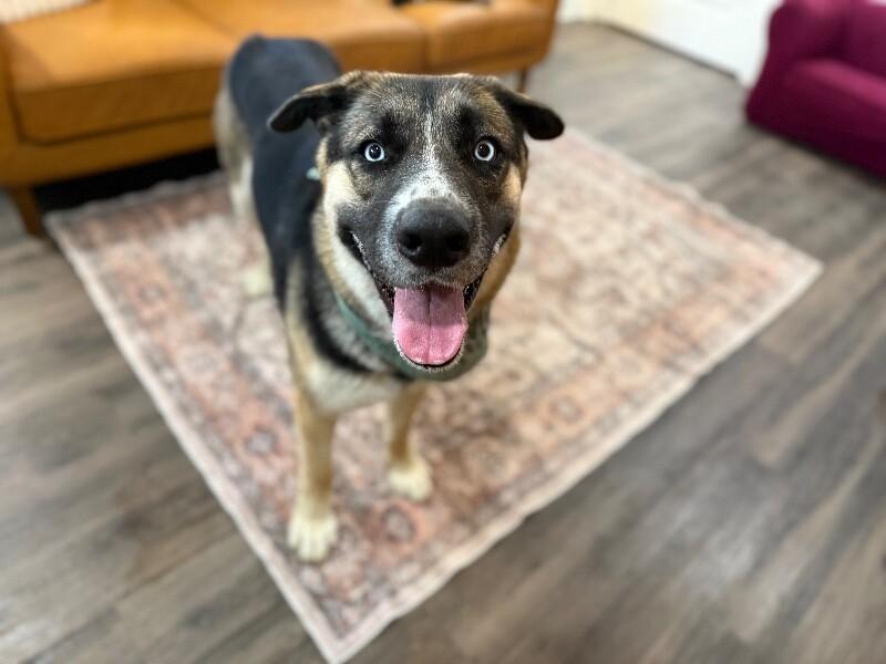 River Xl Calm Cuddles