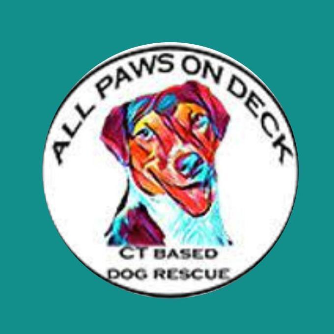 General Preapproval Application