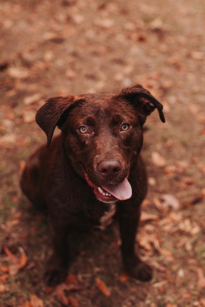 A Snack Size Snickers