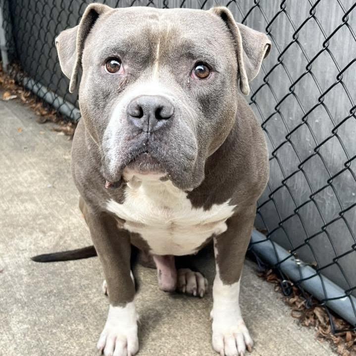 Corrigan ~ Coming Simon!!!