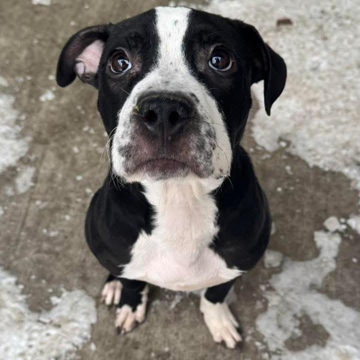 Spike ~ Coming Soon!!!