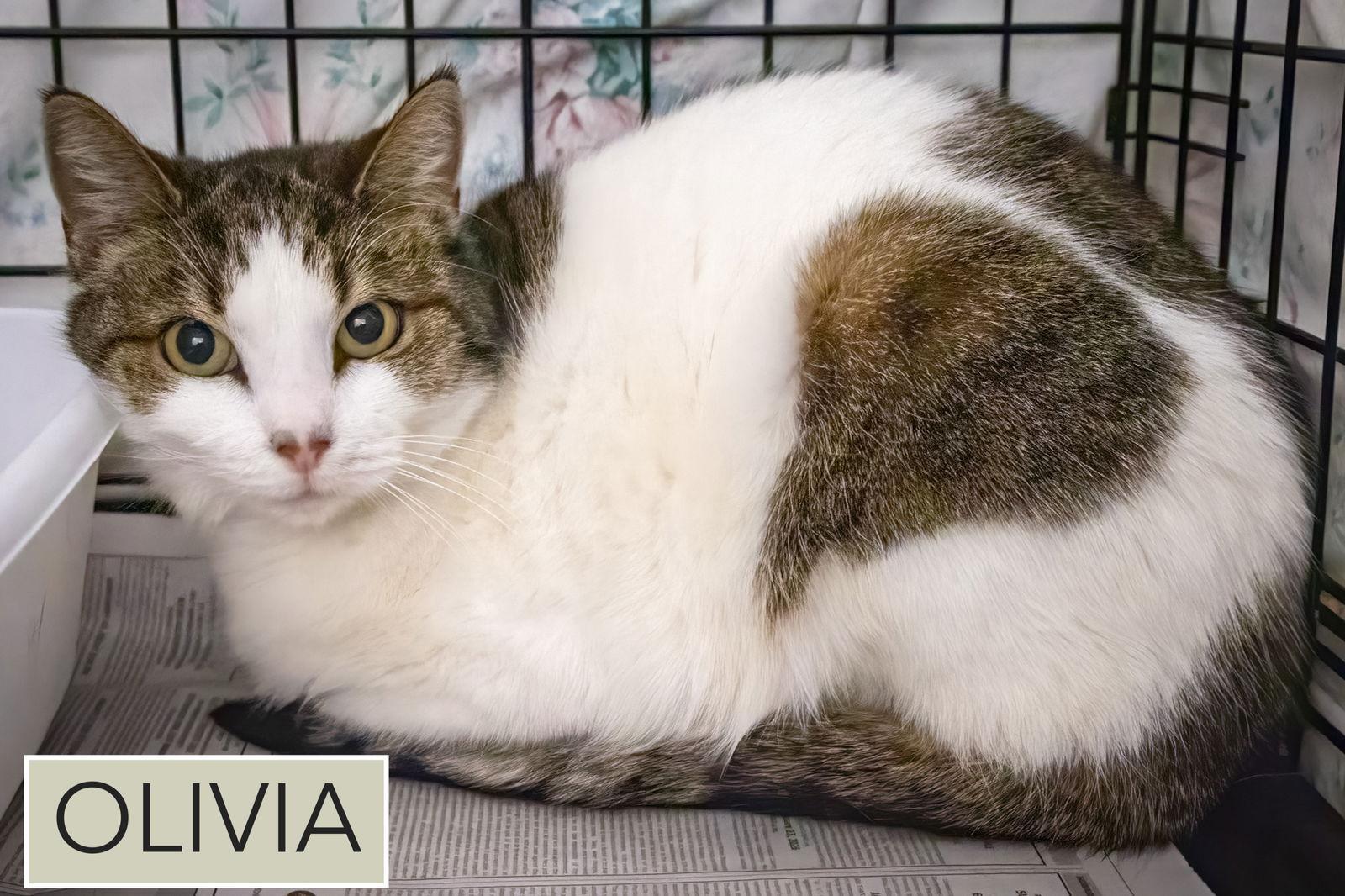 Olivia