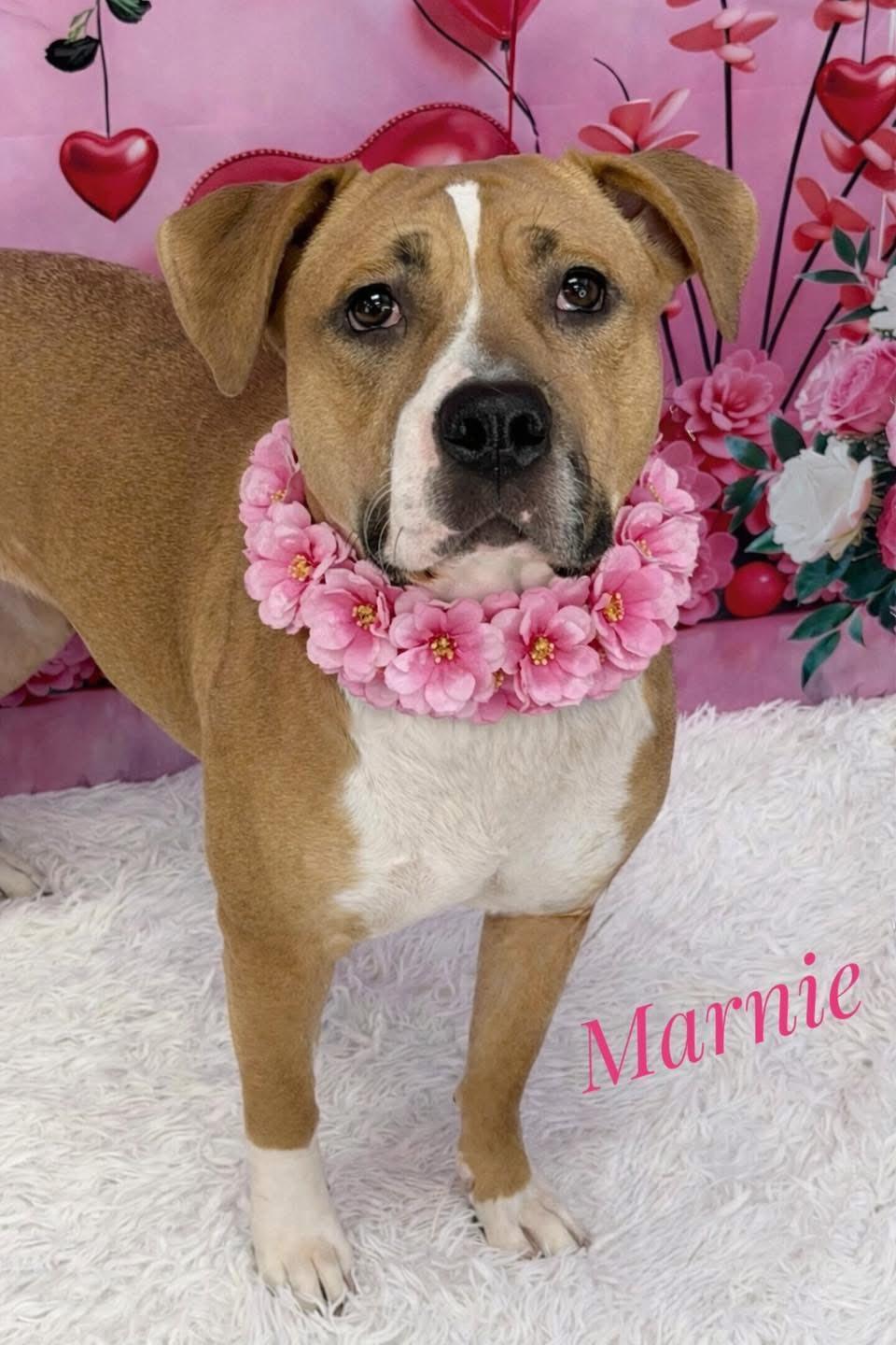 Marnie