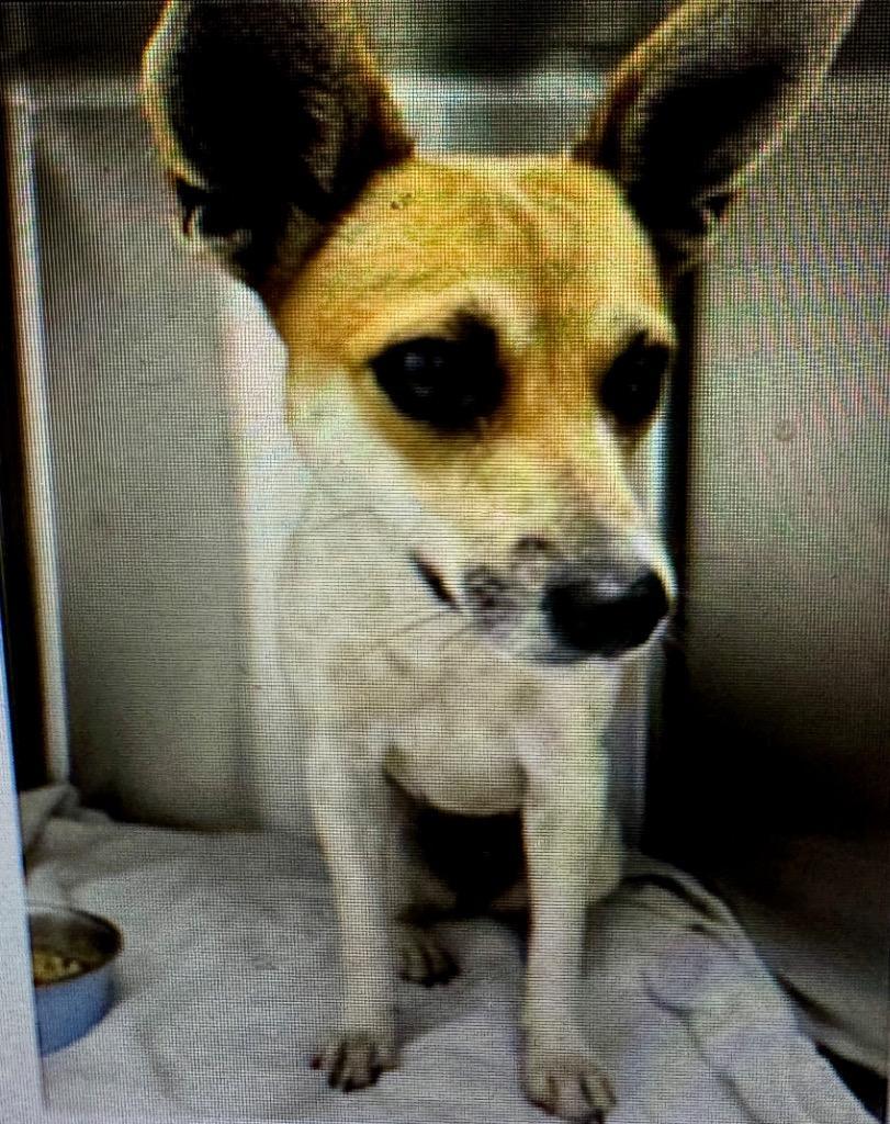 Cagney Yo Sweet Girl