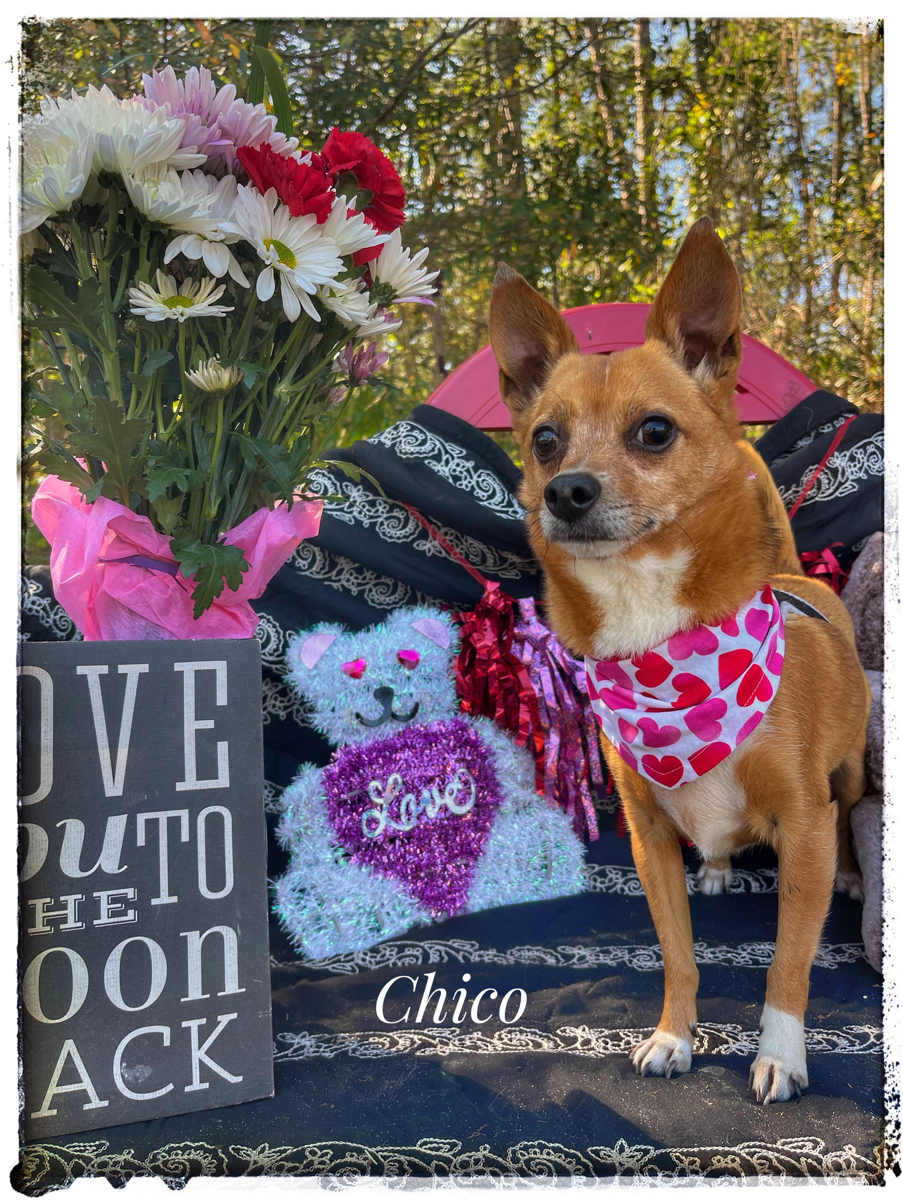 Chico