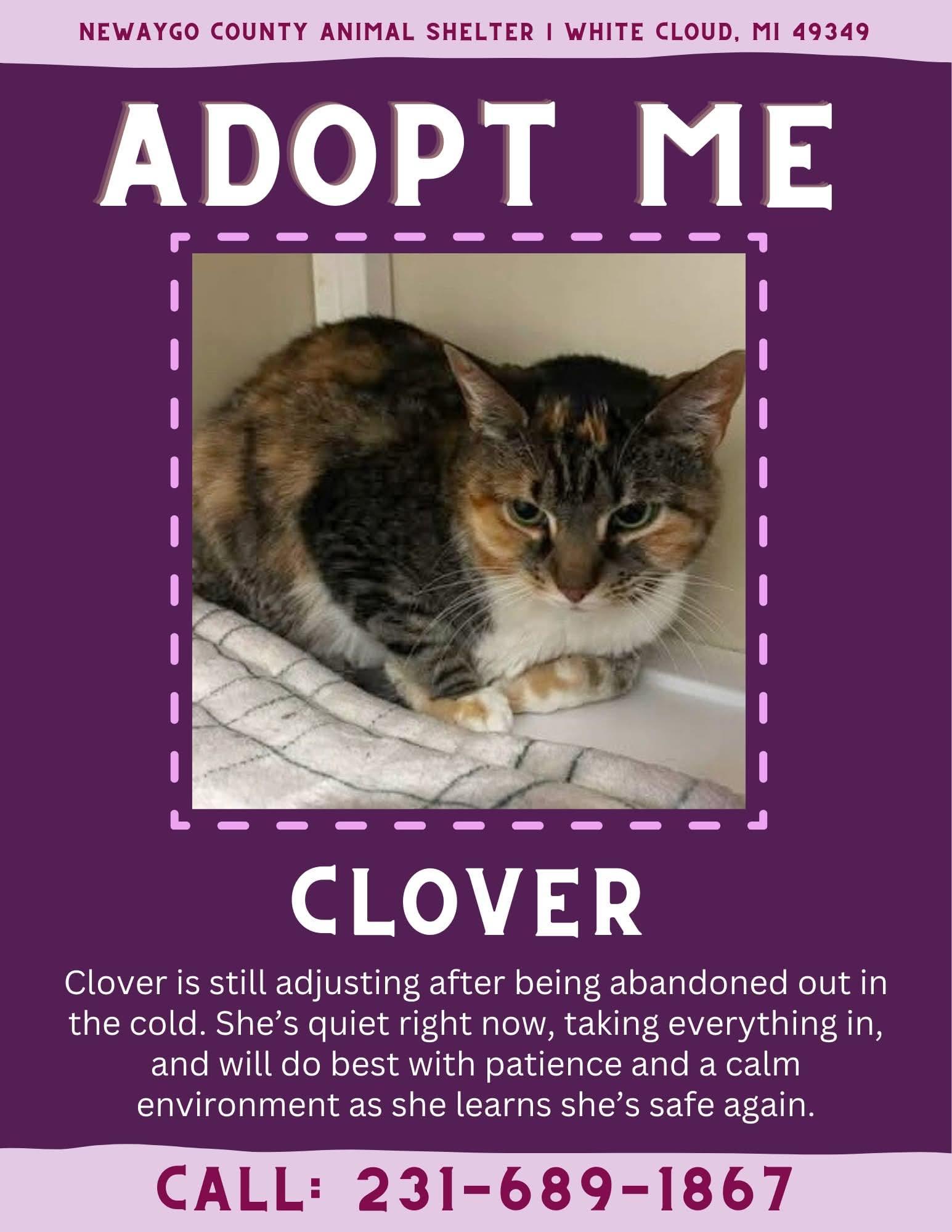 Clover