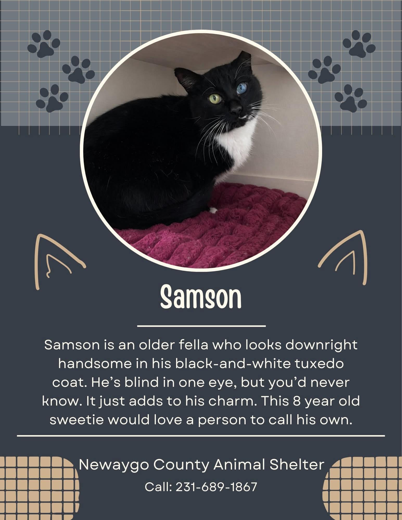 Samson