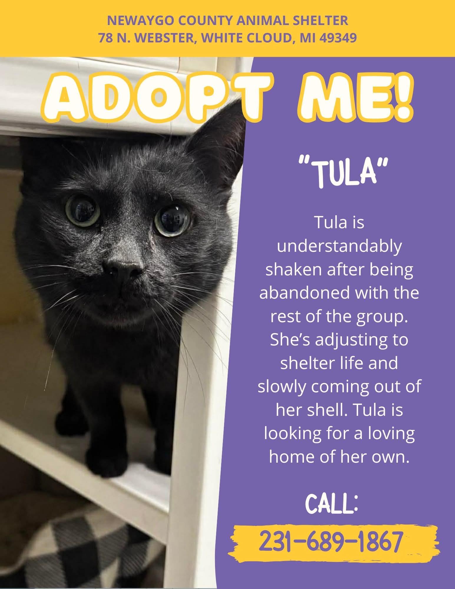 Tula