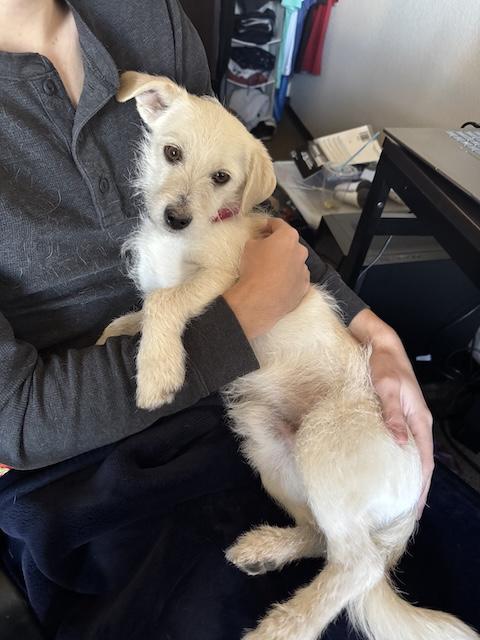 Timothy Alexander Goodwin