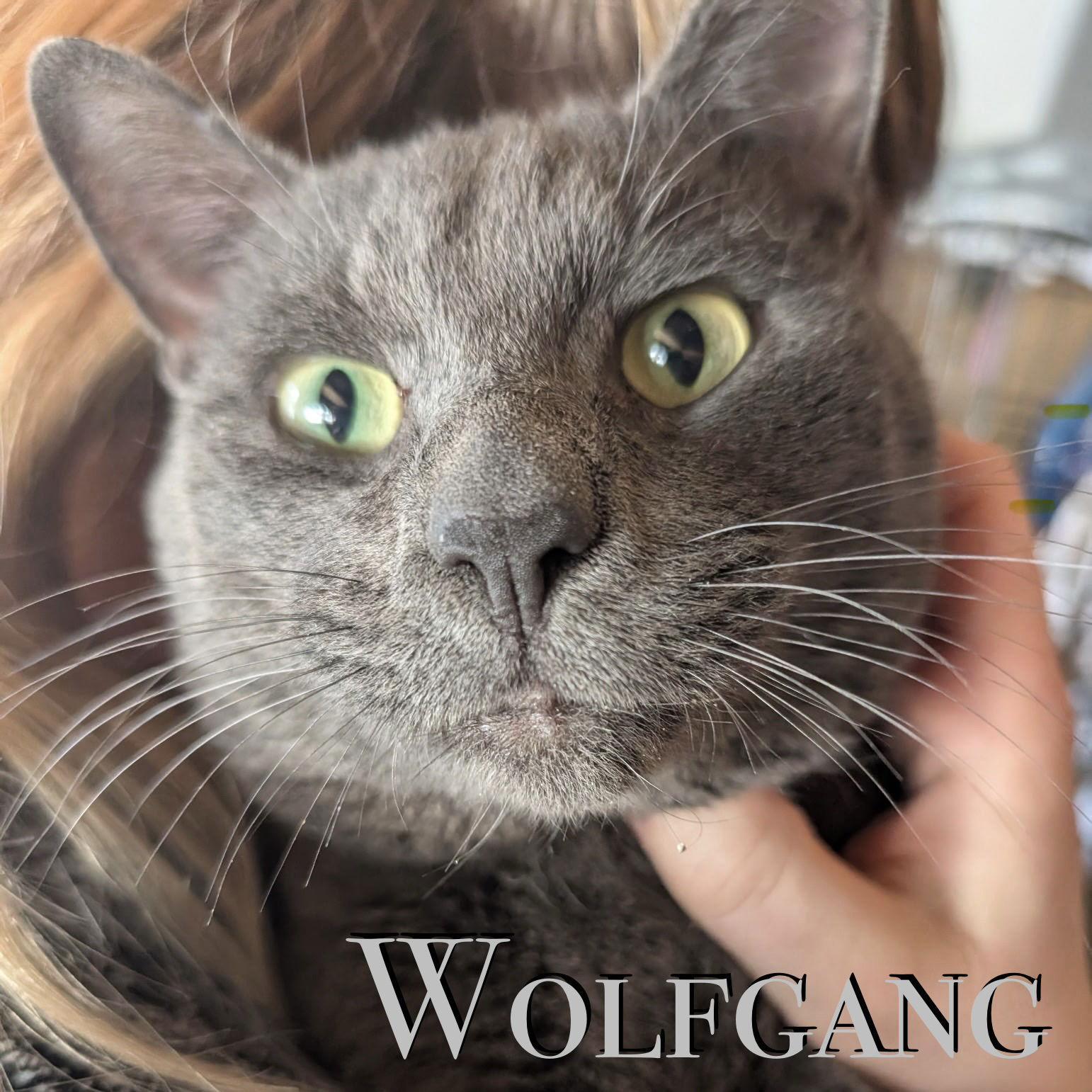 Wolfgang