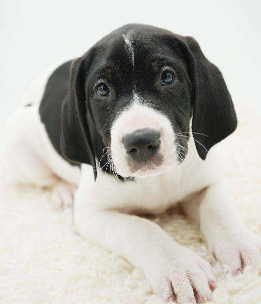 Otis Is Omg Gorgeous!