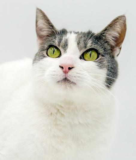 Tootsie Is Terrrific!!!!!