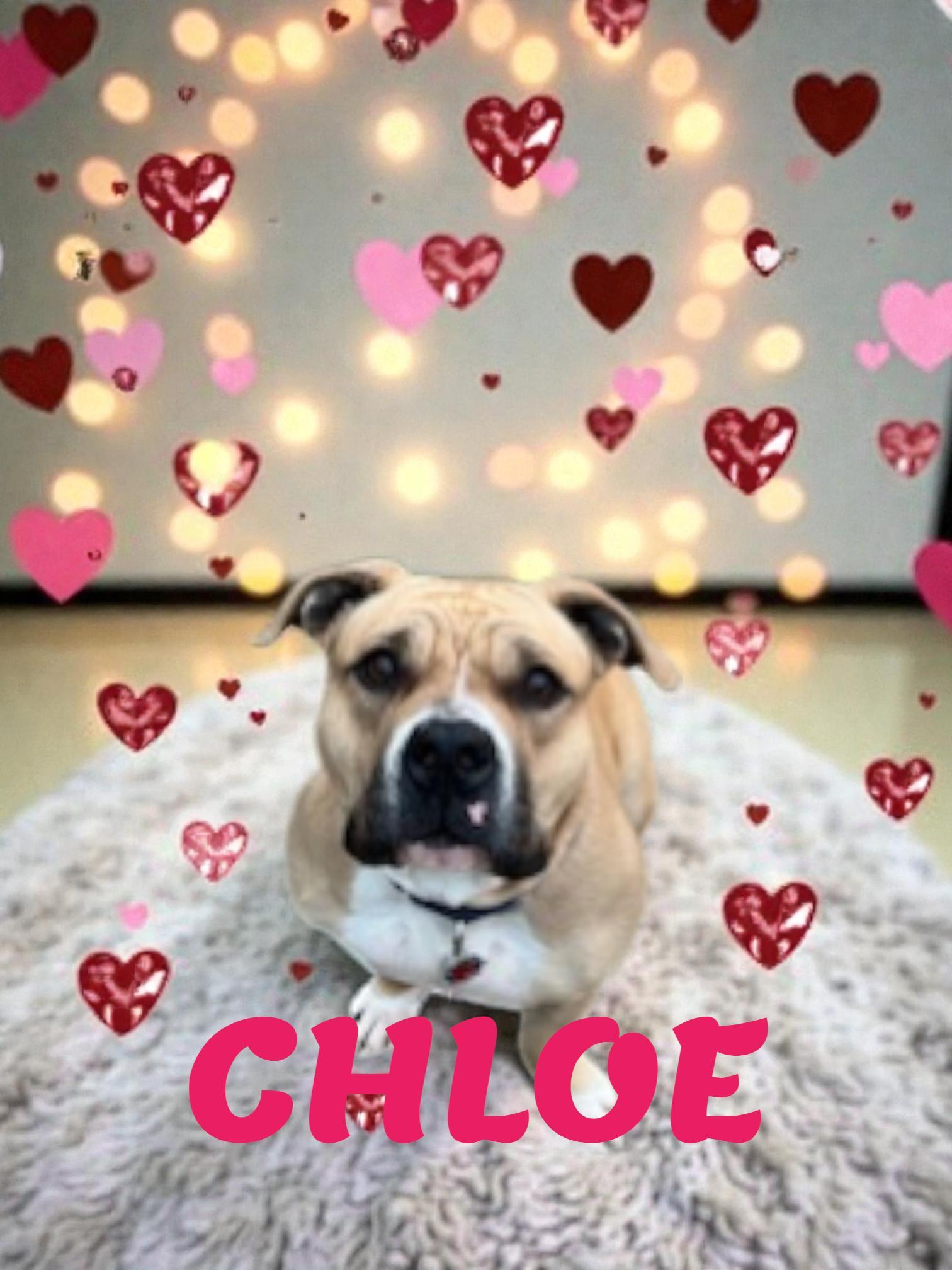 Chloe
