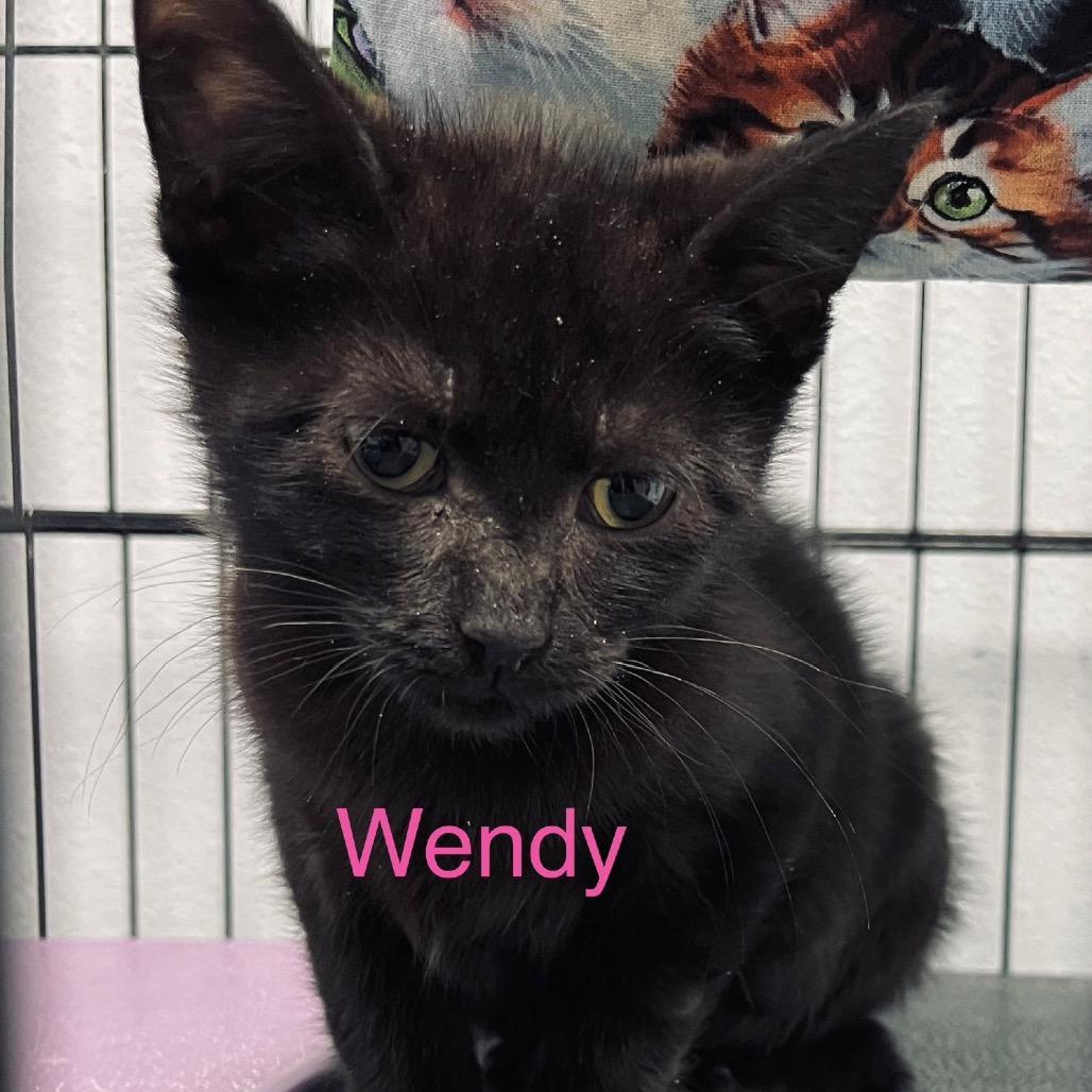 Wendy