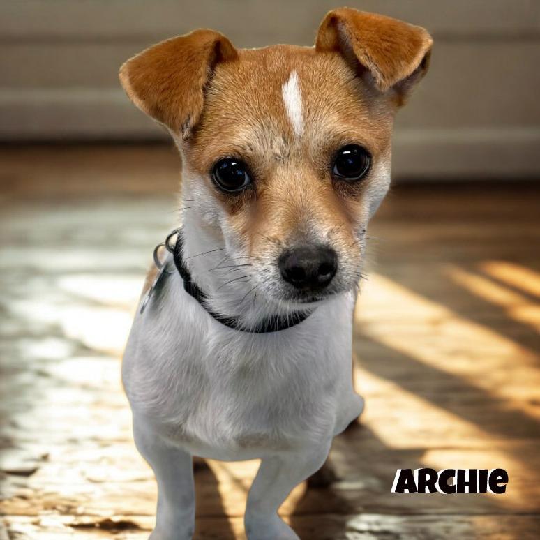 Archie
