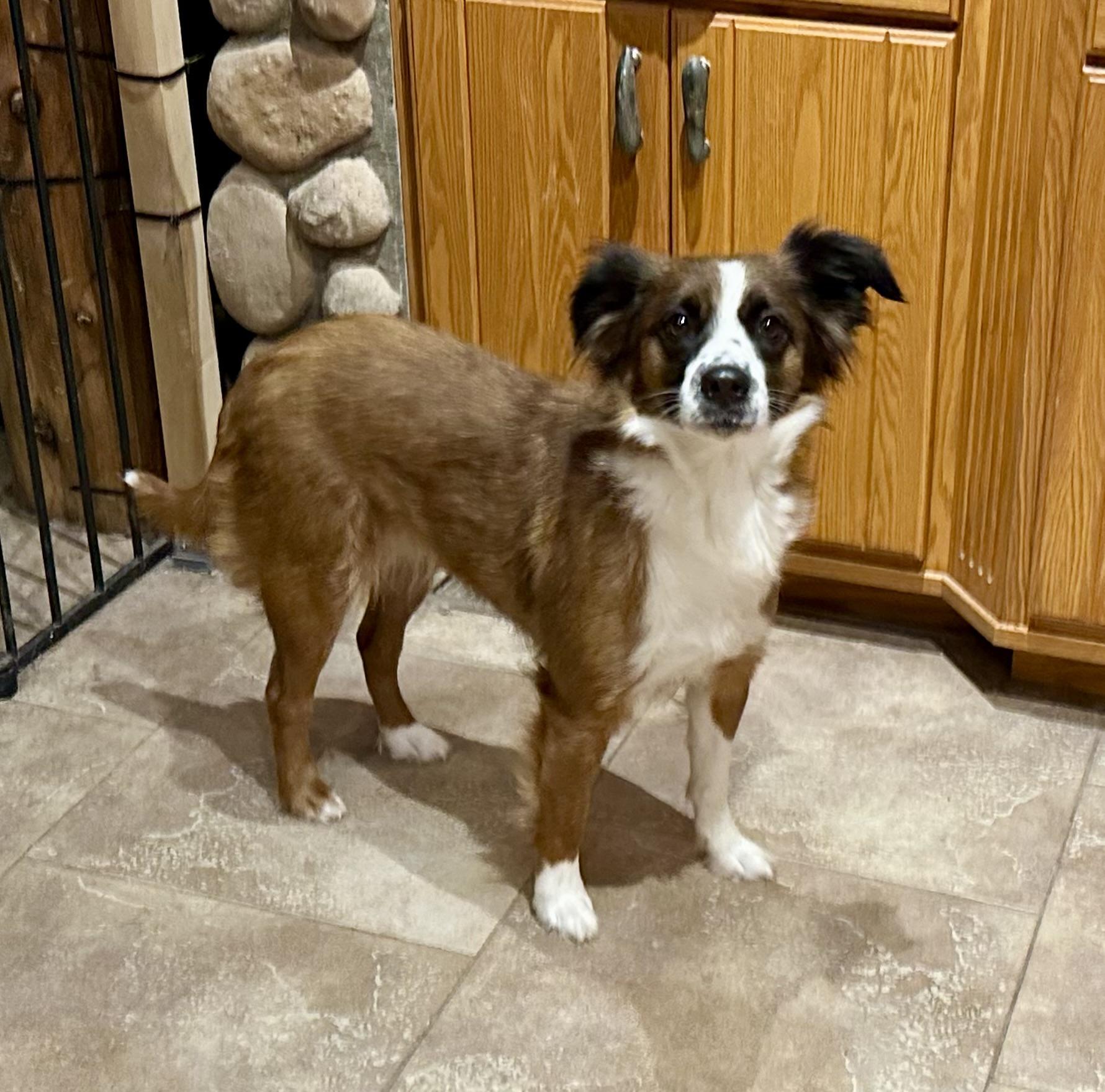 How Cute Is She?????