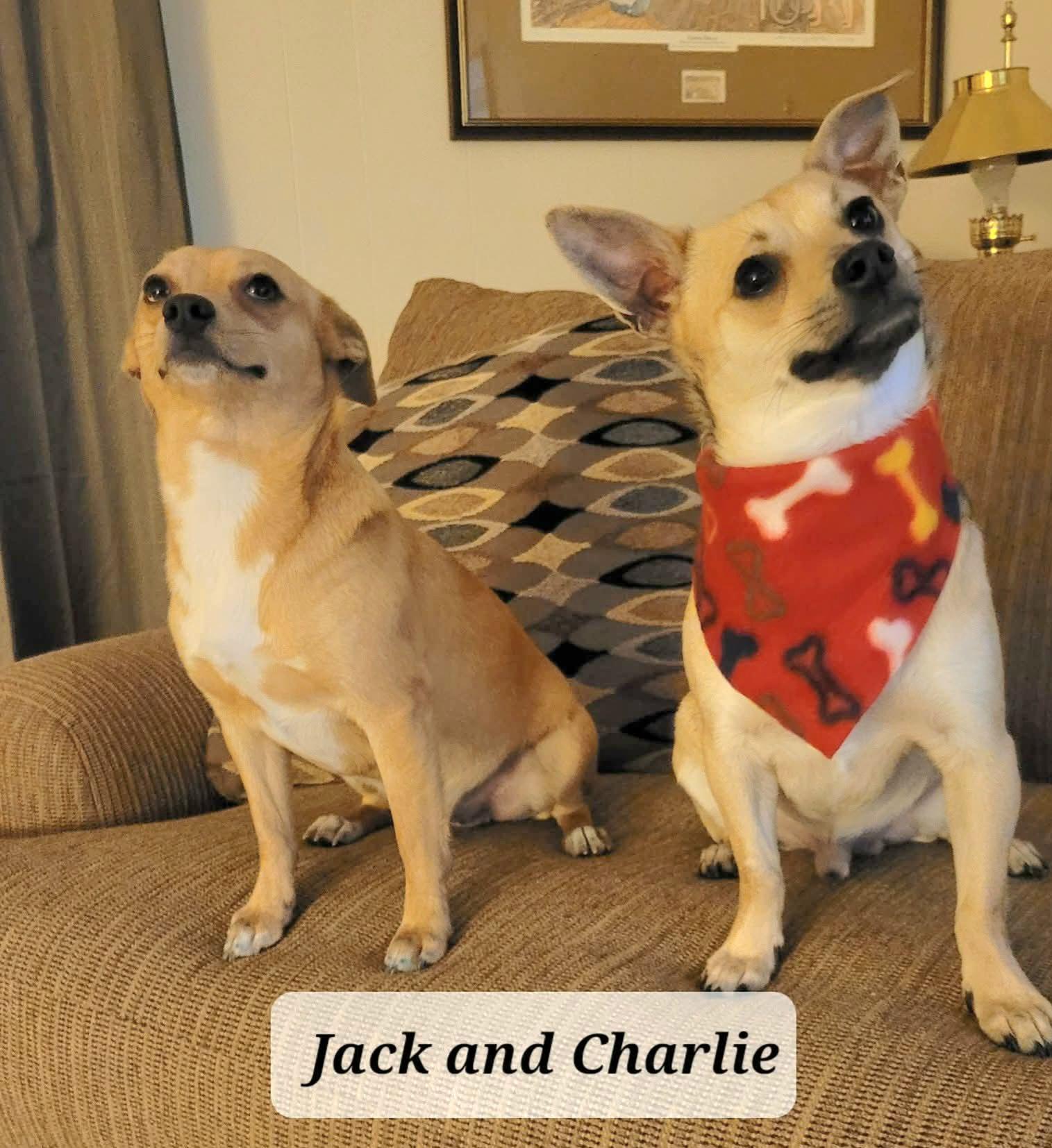 Jack And Charlie