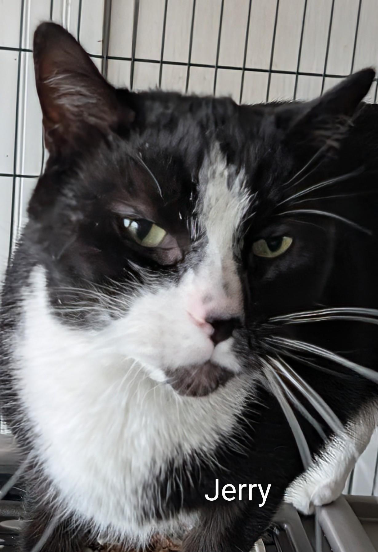 Jerry
