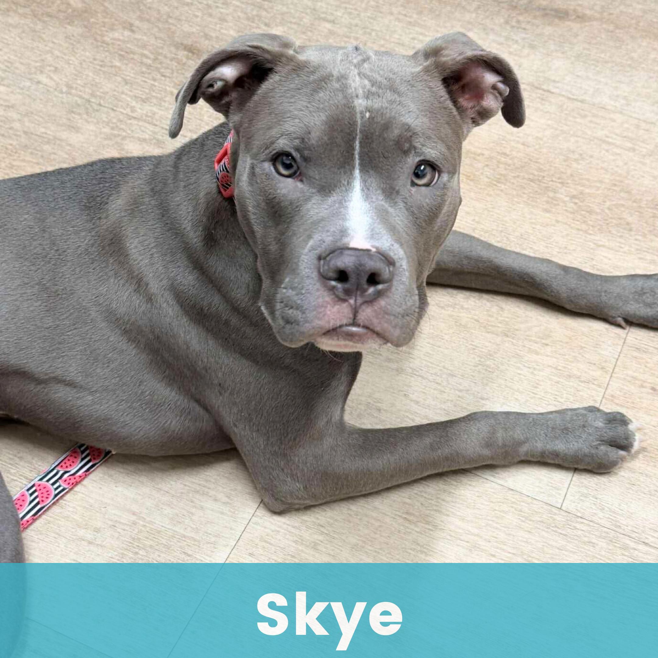 Skye