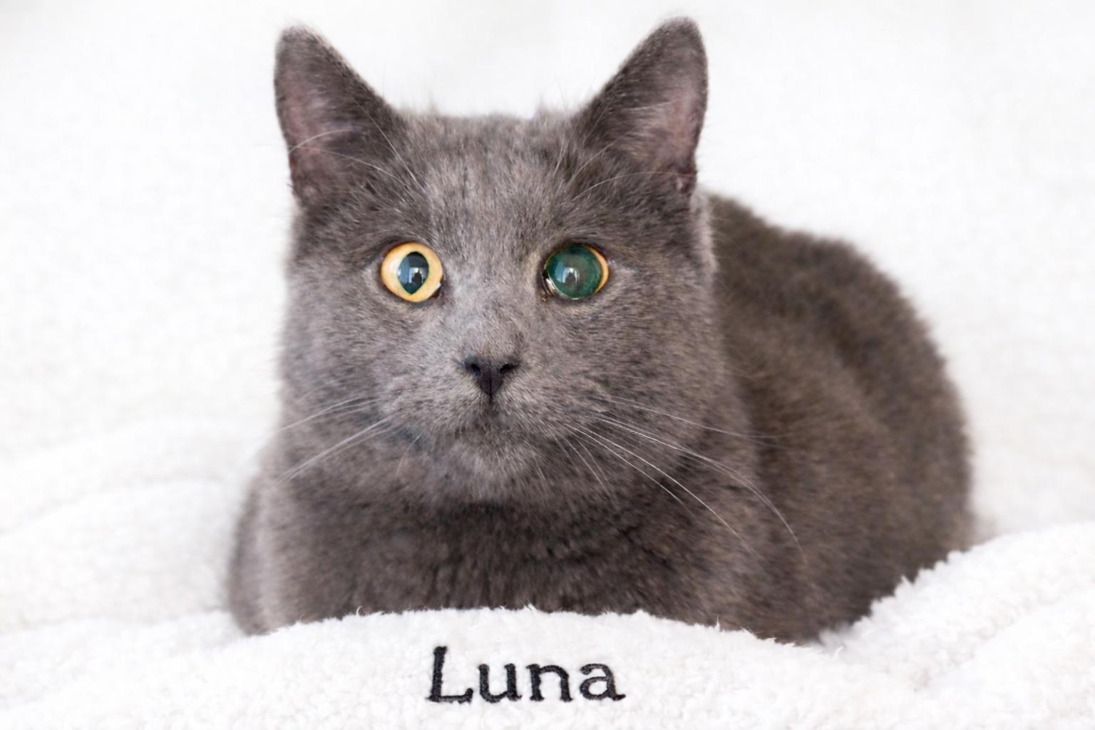 Luna