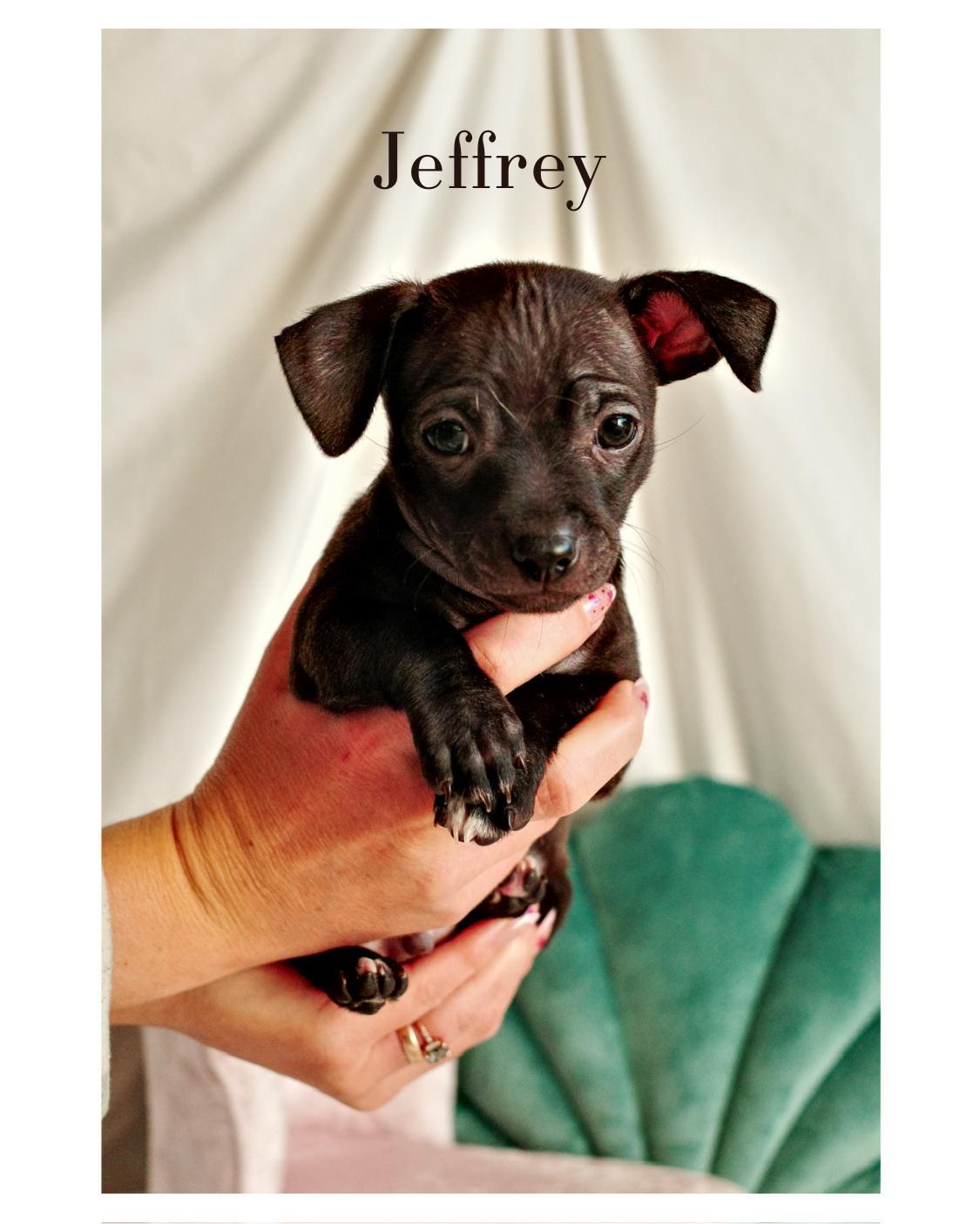 Jeffrey