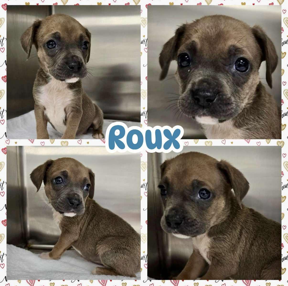Roux