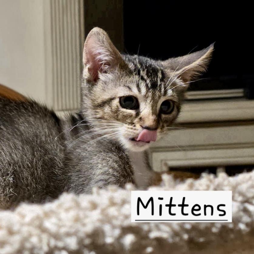 Mittens