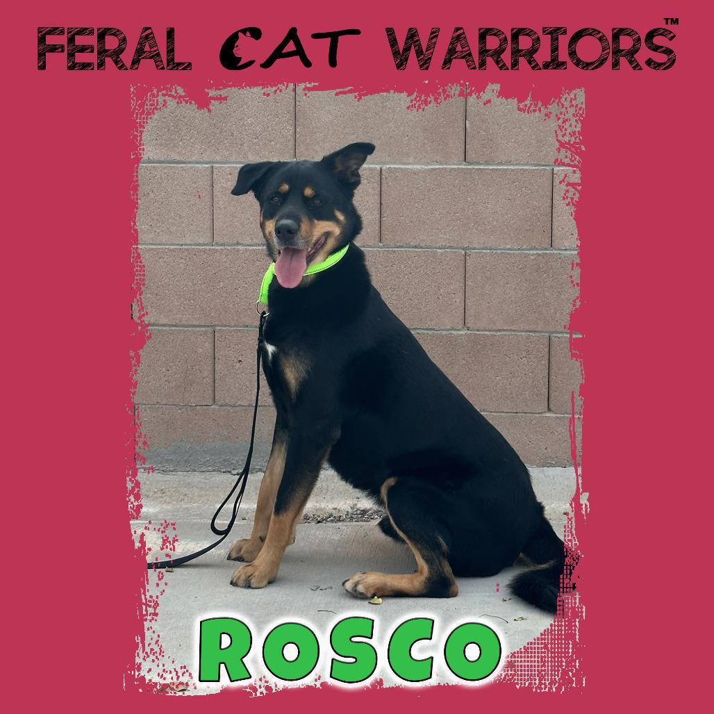 Rosco