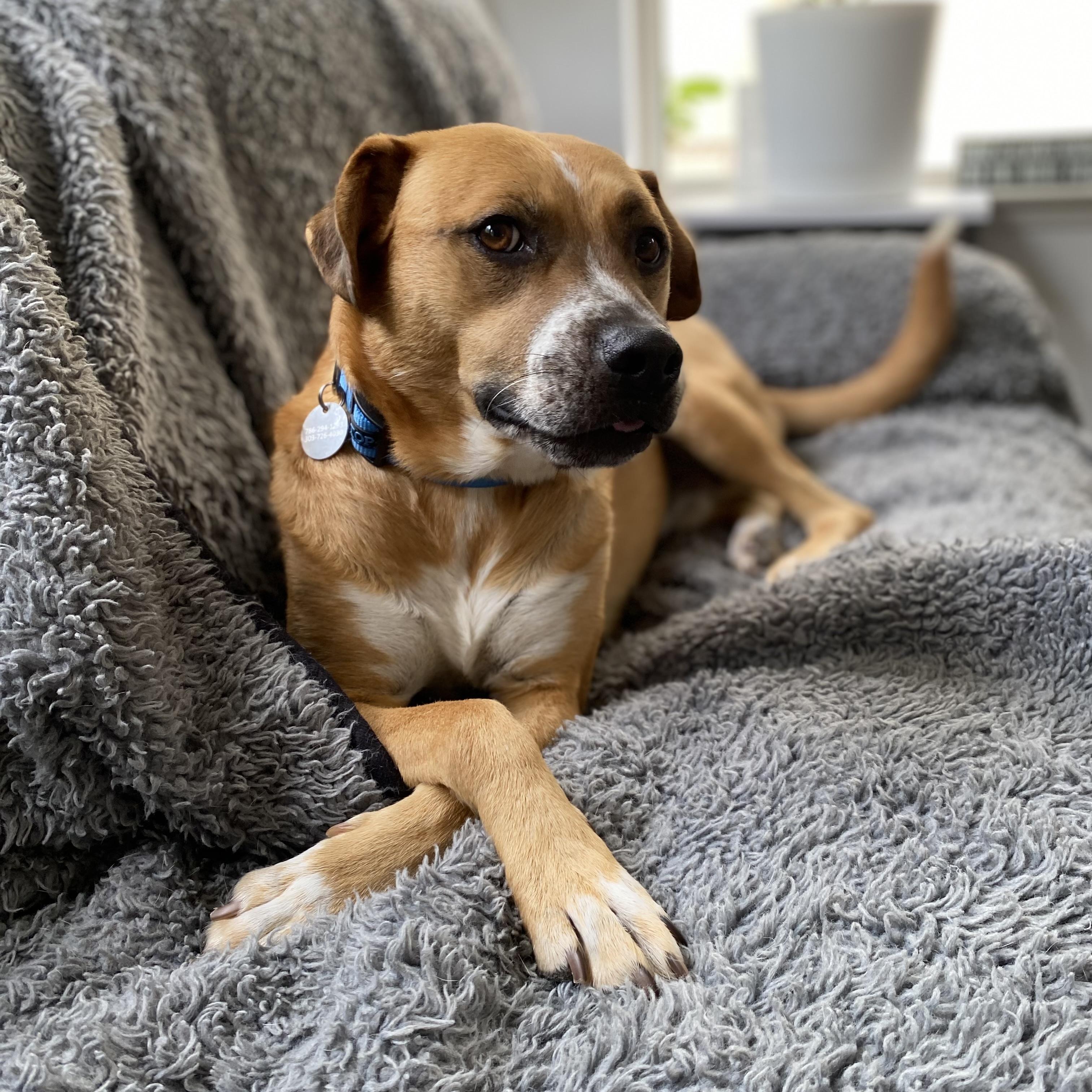 Jorge Rogelio Vicente Cortez