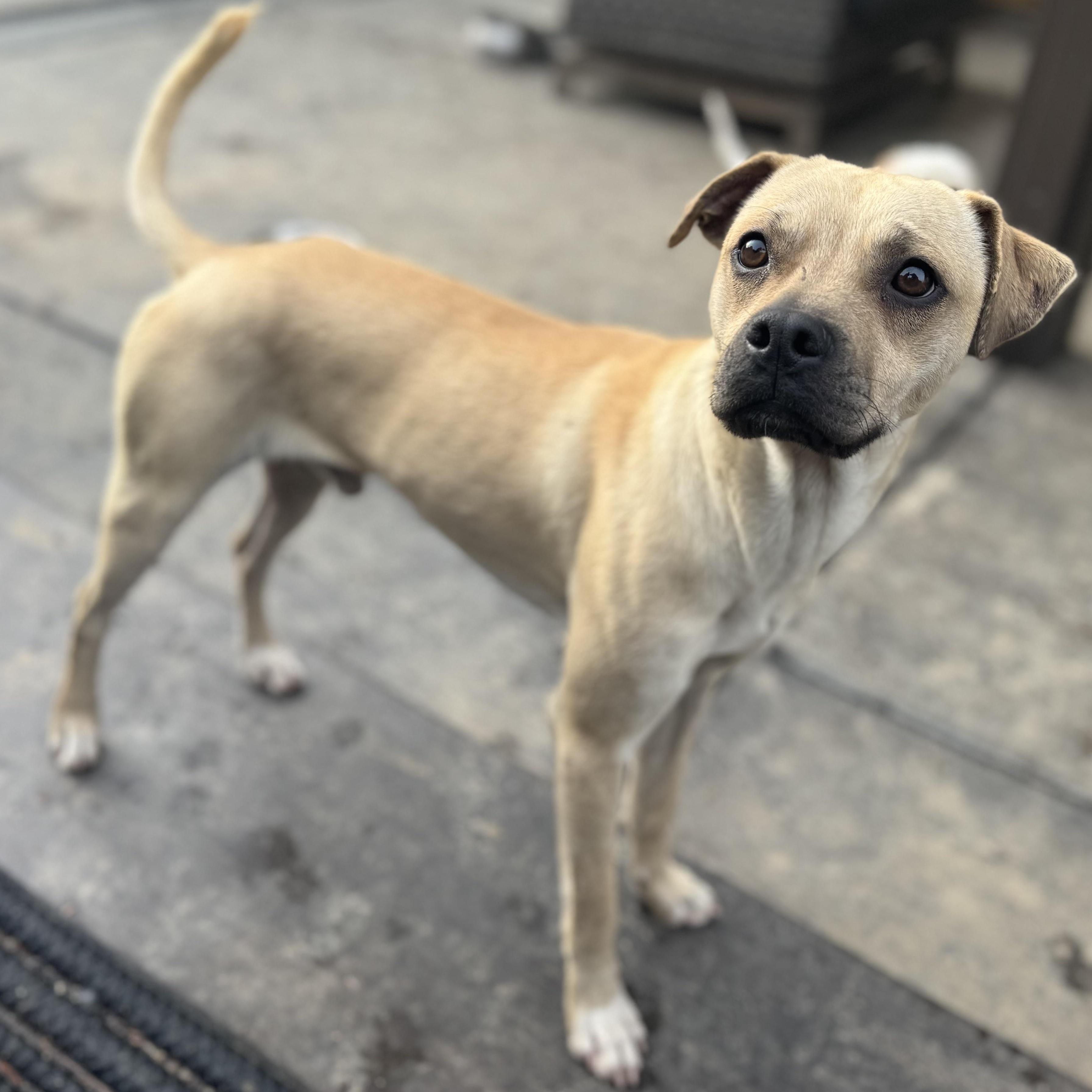 Mr. Wonderful Zombie