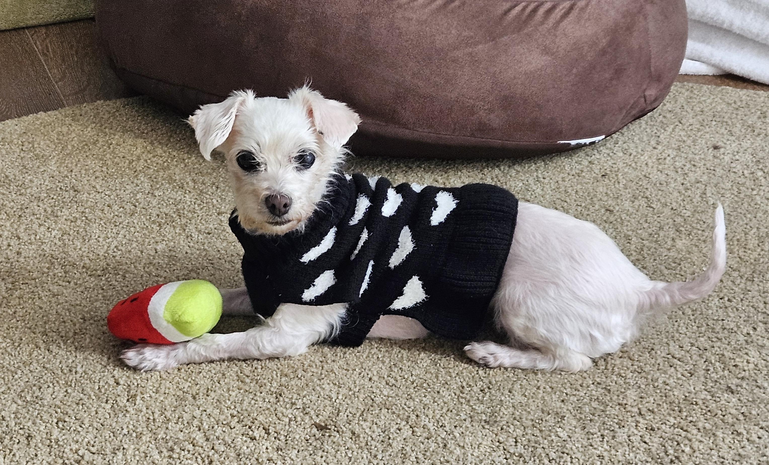 Lovely And Loveable Lucy