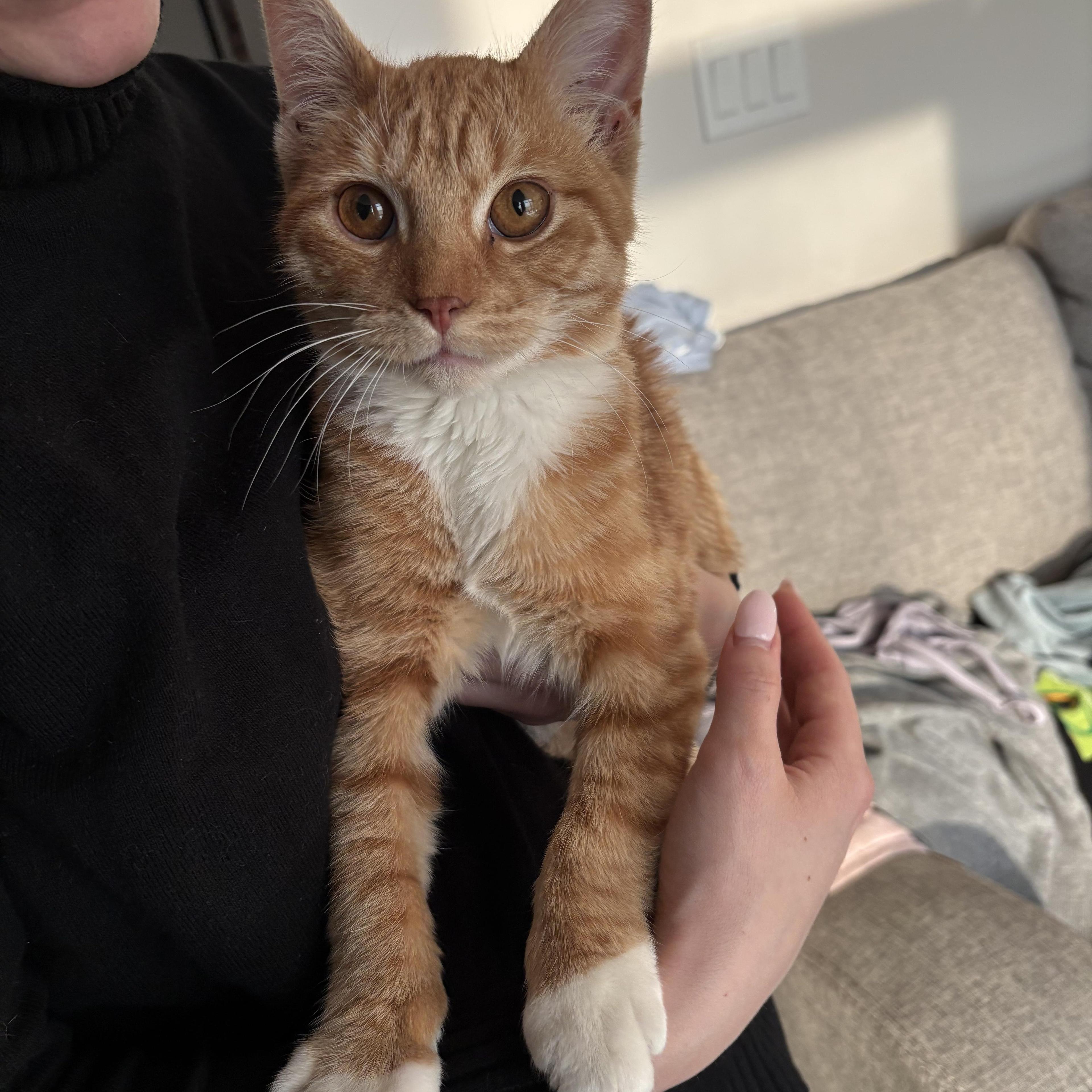 Caspian Spunkyaffectionate