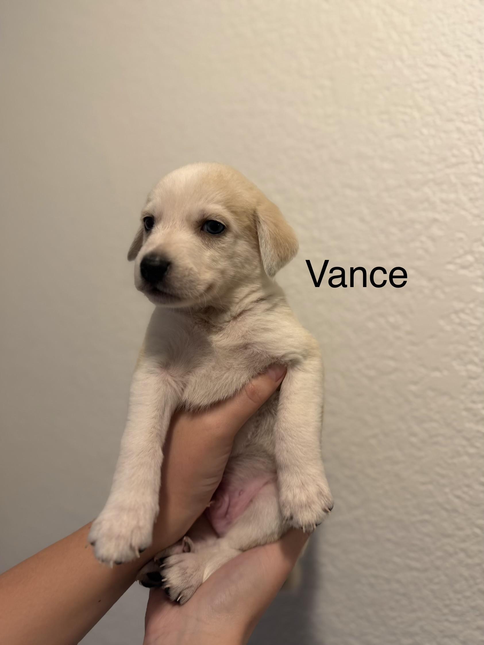 Vance