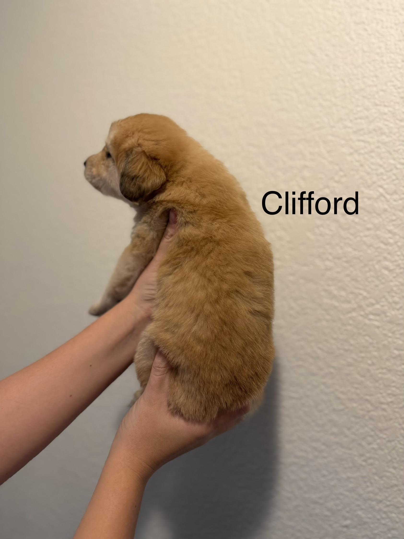 Clifford