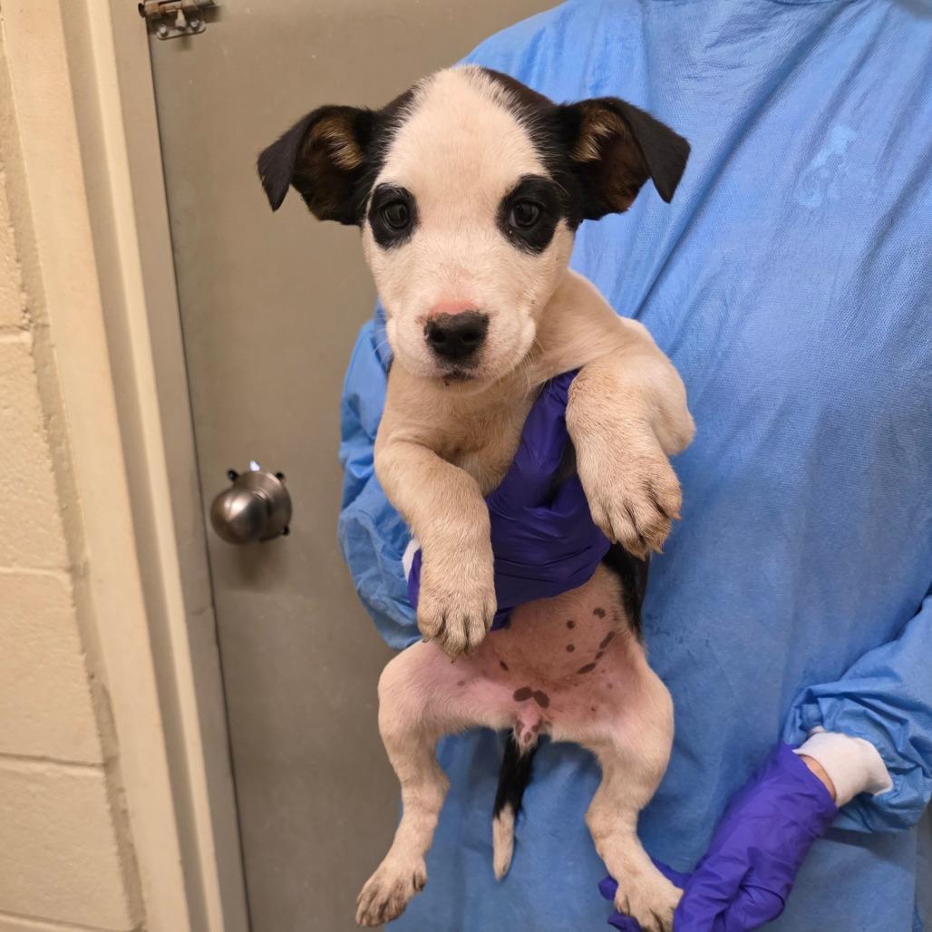 Geraldine Aka Maybelline