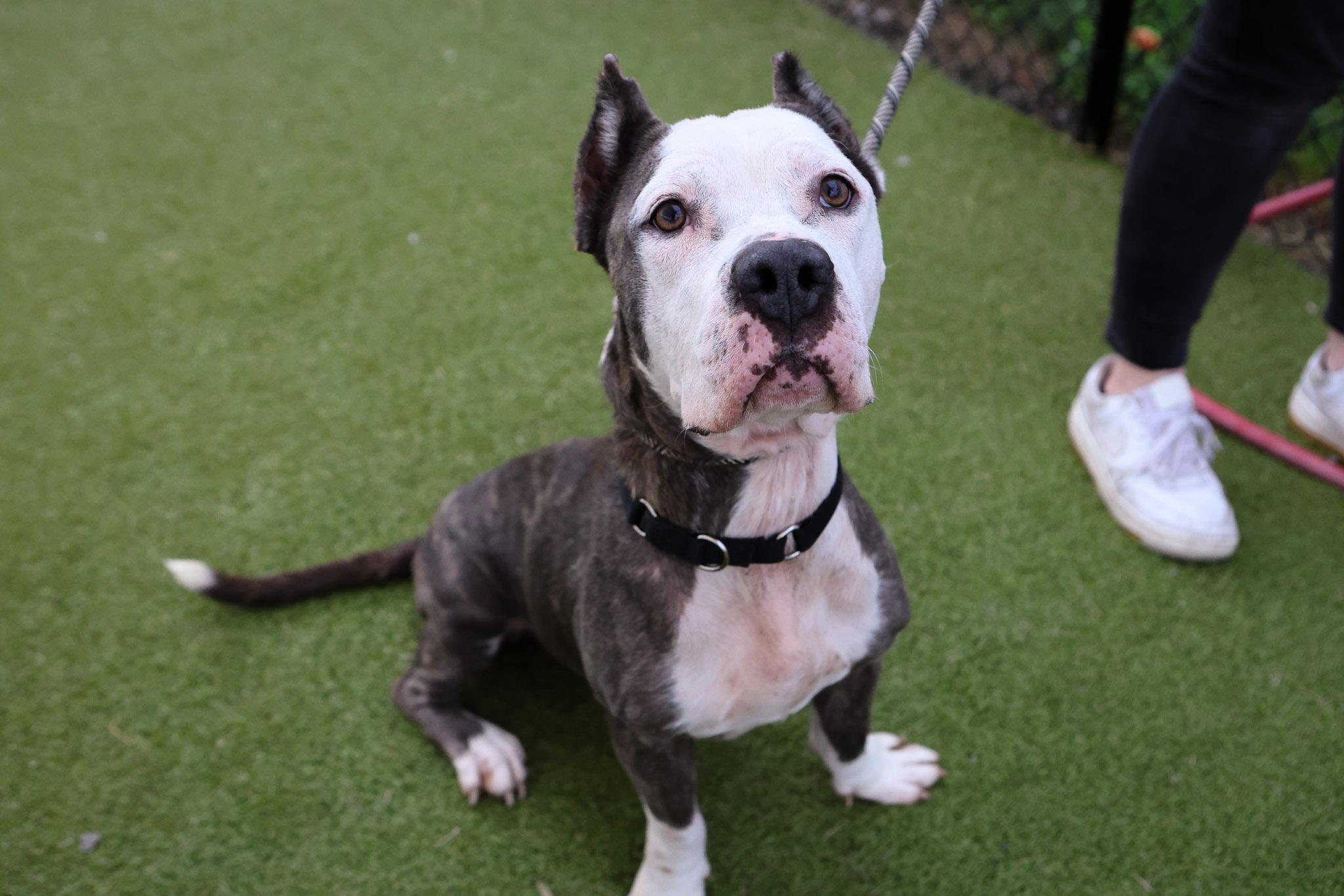 Betty Deville photo 1