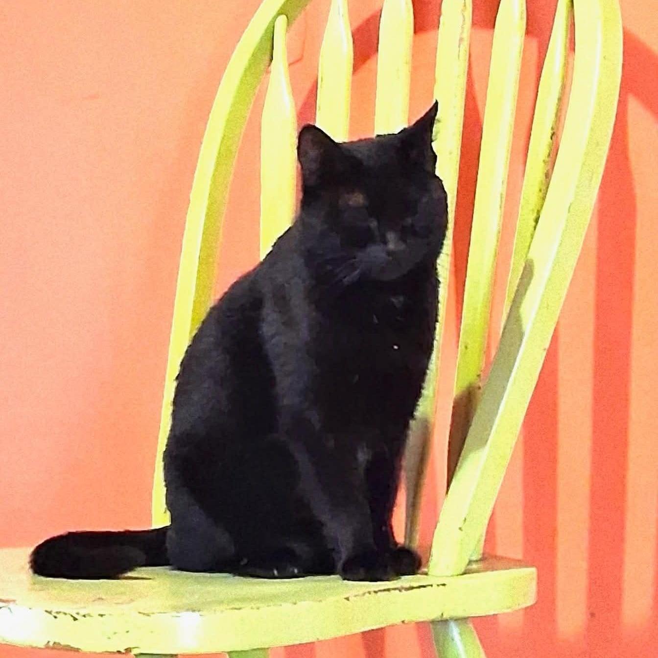 Lady Beatrice @ Livonia