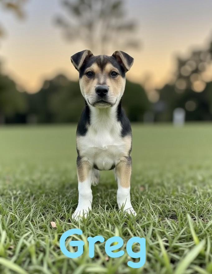 Greg