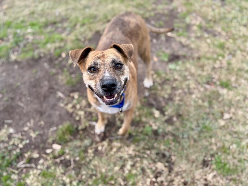 Rita Fajita Homebody Cutie