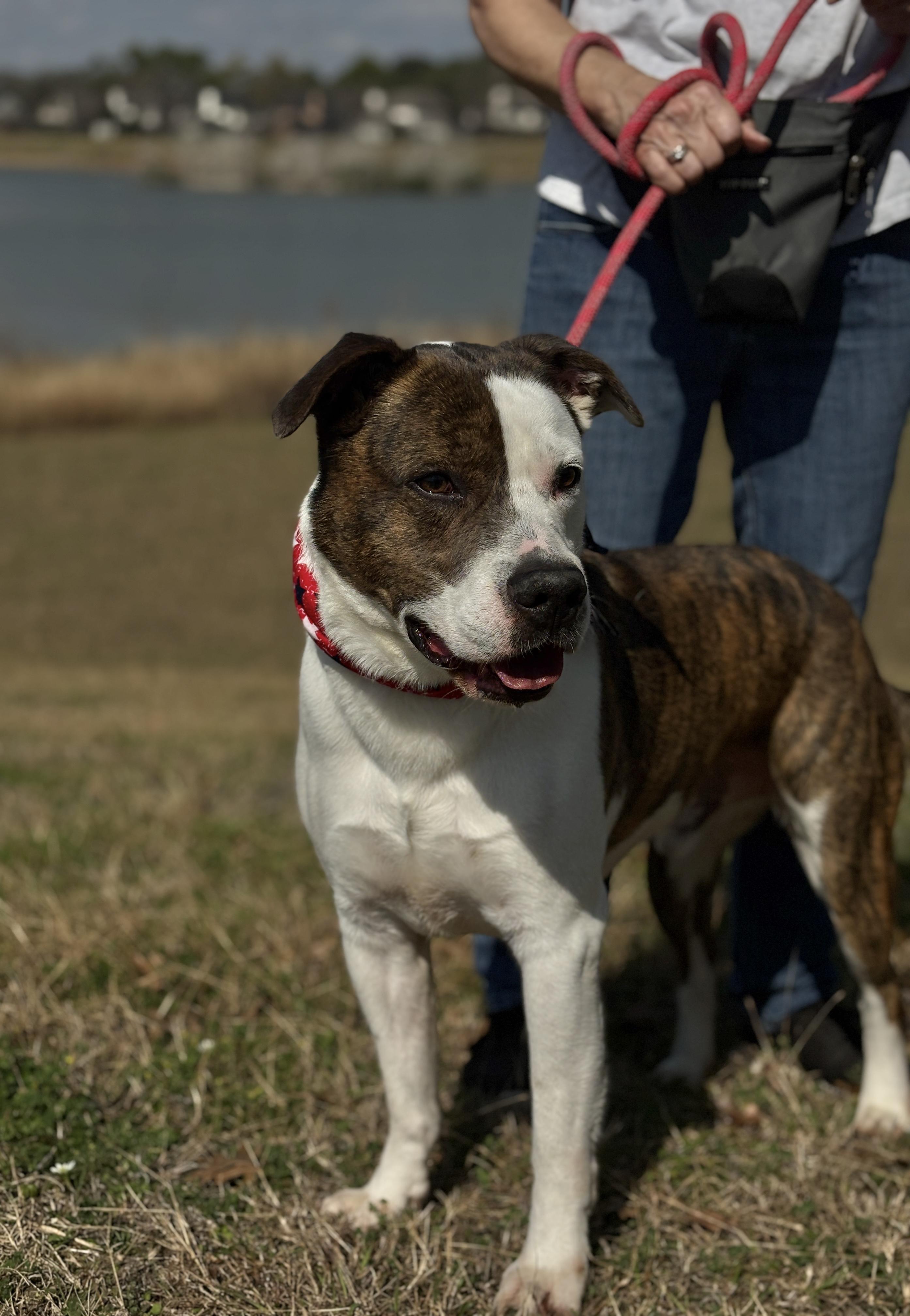 Merrick Handsome Boy!