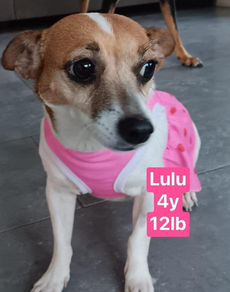 Lulu