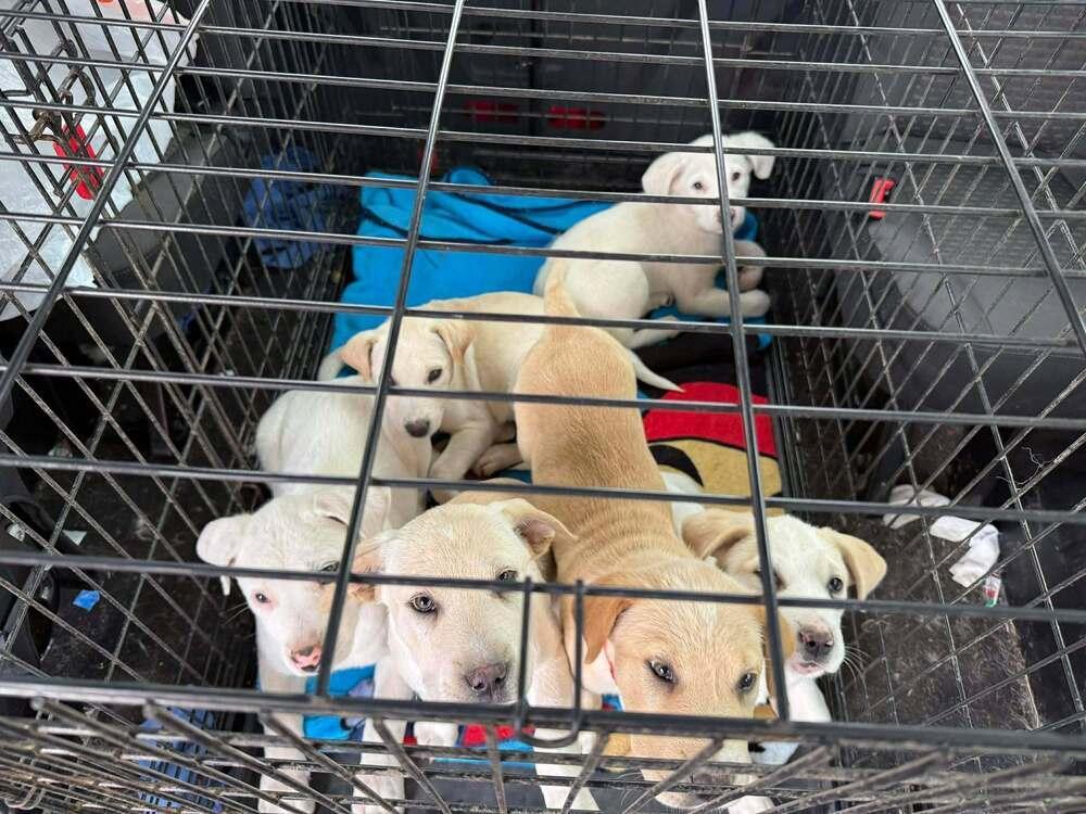 Greek Gods And Goddesses: