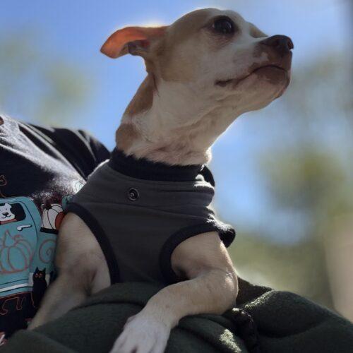 Poco Loco Aka Archie