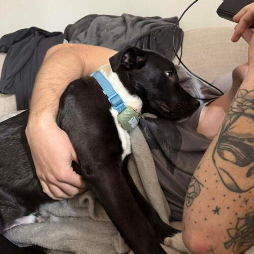 Mumble Previously Galapagos